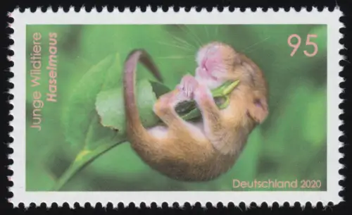 3563 Junge Wildtiere: Haselmaus, postfrisch **