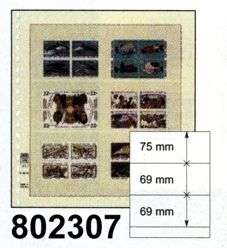 LINDNER-T-Blanko - Einzelblatt 802 307