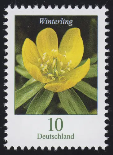 3314 Blume Winterling 10 Cent, nassklebend, postfrisch **