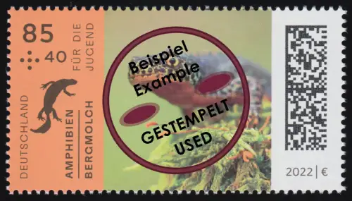 3706 Jugend Amphibien: Bergmolch, gestempelt O