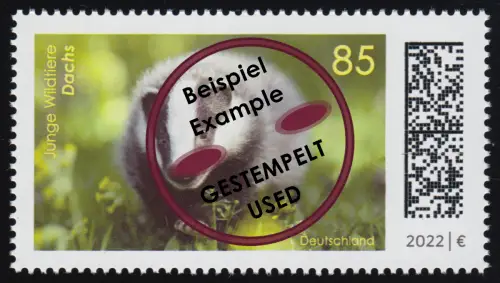 3681 Junge Wildtiere: Dachs, O gestempelt