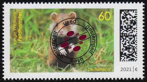 3608 Junge Wildtiere: Feldhamster, O