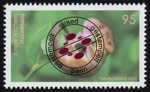 3563 Junge Wildtiere: Haselmaus, O