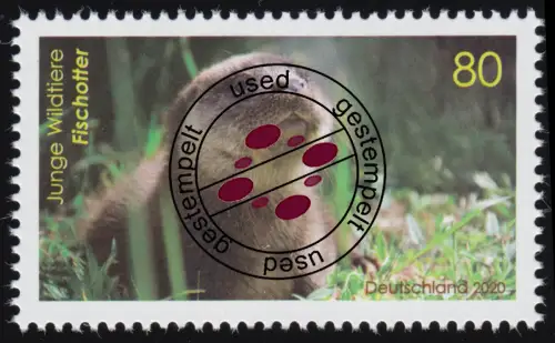 3562 Junge Wildtiere: Fischotter, O