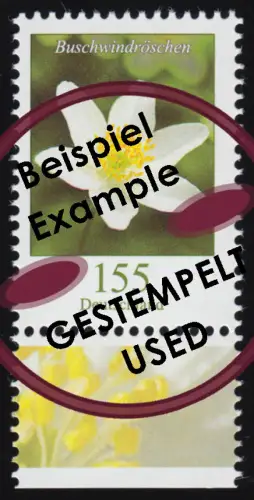 3472 Blume Buschwindröschen 155 Cent, nassklebend, aus Bogen, gestempelt O