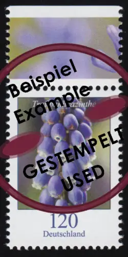 3447 Blume Traubenhyazinthe 120 Cent aus Bogen, O gestempelt