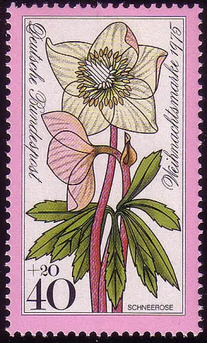 874 Weihnachten 40+20 Pf Schneerose, postfrisch **