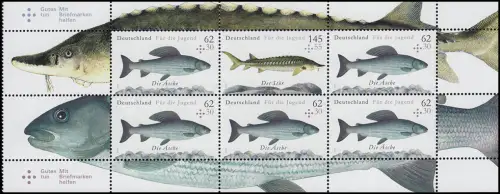 HBl. 49 aus MH 100 Fische als Zusammendruck mit 6 Marken, gefaltet, **