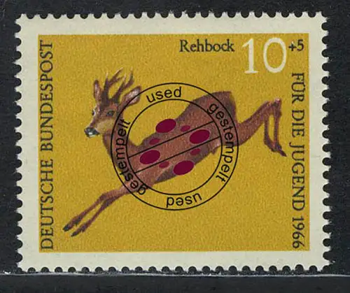 511 Jugend Hochwild 10+5 Pf Reh O