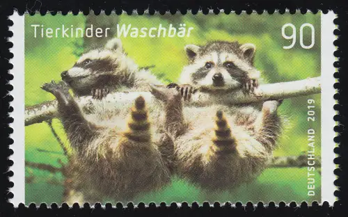 3434 Tierkinder: Der Waschbär, postfrisch **