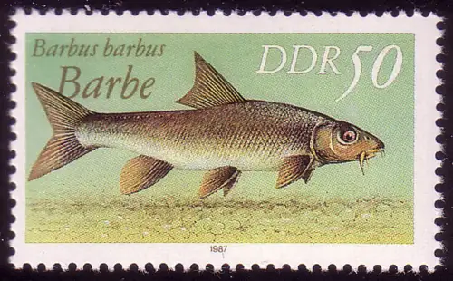 3099 Süßwasserfische 50 Pf Barbe, postfrisch **