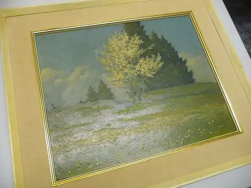 Ölgemälde Landschaft mit blühendem Baum Vogtland / Richard Sachs 1932