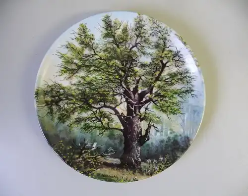 Sammelteller Zierteller Uralte Riesen Dicke Marie Baum / Tirschenreuth Porzellan