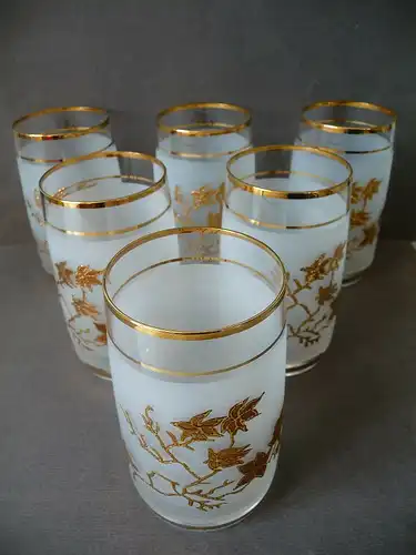 6 edle Gläser Trinkgläser Dekogläser satiniert mit Golddekor