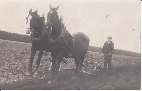 Orig. Foto Bauer mit Pflug Pferdegespann Feldarbeit ca. 1920
