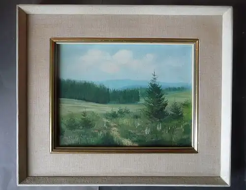 Kleines schönes Gemälde Landschaft Vogtland? / Röder?
