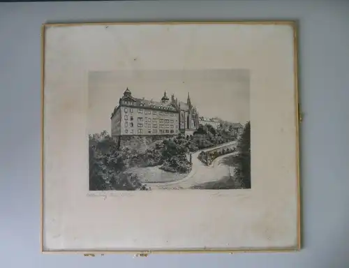 Alte Druckgraphik Radierung? Ansicht Altenburg Thüringen Schloss