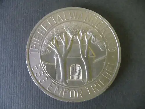 Medaille DWBO / BSG Empor Triebel Vogtland / Triebeltalwanderung ca. 1980