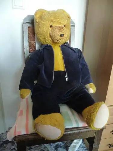 Großer alter Teddybär mit blauer Cordjacke und Hose