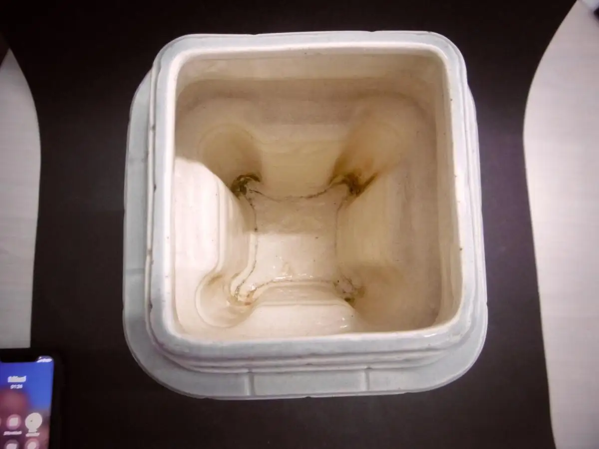 Herrliche Miniatur des  