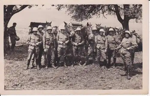 Orig Foto Soldaten Gruppenbild mit Pferden / Foto Pommerening Kloten Schweiz