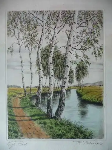 Orig. Druckgraphik Farbradierung Birken am Fluss signiert Petersen ?