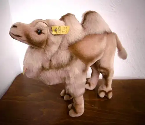 Vintage Plüschtier "Steiff - Knopf im Ohr" Cosy Kamel ,unbespielt Top Zustand