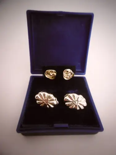 Bezauberndes Schmuck-Set 4-teilig (Ohrstecker+Ohrklemmen) im Etui, vergoldet