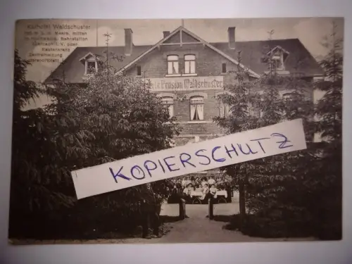 Alte Foto-PK "Kurhotel Waldschuster Auerbach i. Vgtl.", gel. 1911