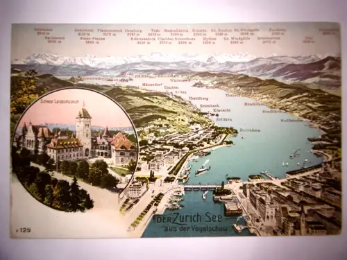 Alte Postkarte "Der Zürichsee aus der Vogelschau", ungelaufen