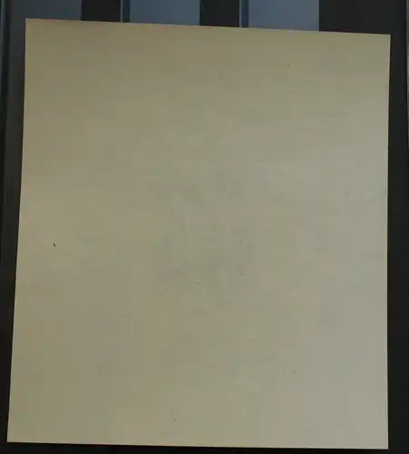 Deutsches Reich 1941 Nr 779 Postfrisch / ** 20