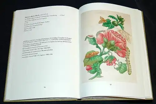 Daum, Josef und Michael Kuhn: Pflanzenbilder aus alten Büchern und auf historischen Krügen. 