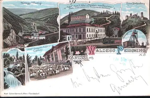Gruss aus WALDEGG PEISCHING (b. Winer Neustadt) / JAHR: 1898