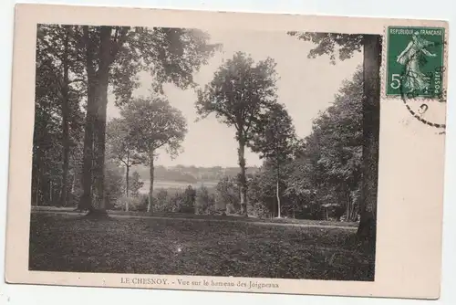 Le Chesnoy - Vue sur le hameau des Joigneaux