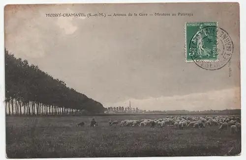 Moissy Cramayel Avenue de la Gare Moutons au Paturage 1909
