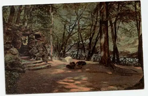 Alte Ansichtskarte 1912 // Waldlandschaft in der Nacht