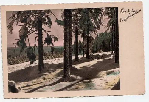 Herzliche Naujahrsgrüsse