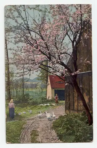 Alte Ansichtskarte // Frühling auf dem Land