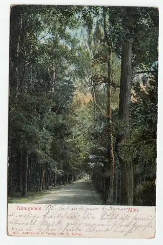 Königsfeld // Allee jahr 1906