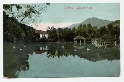 Wildbad. Schwanensee.