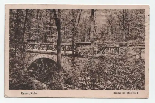 Essen/Ruhr Brücke im Stadtwald