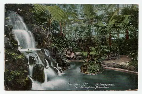 Frankfurt a. M. Palmengarten. Der Wasserfall im Palmenhaus. jahr 1908