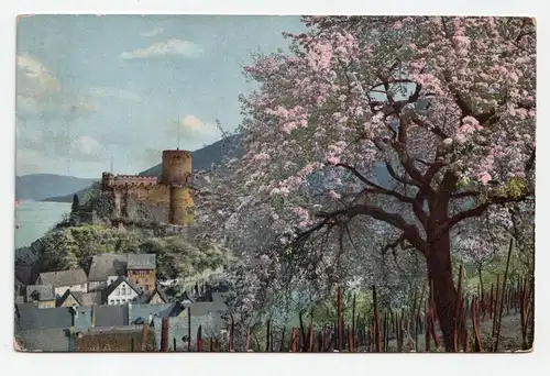 Alte Ansichtskarte // Frühling, bunter Baum 