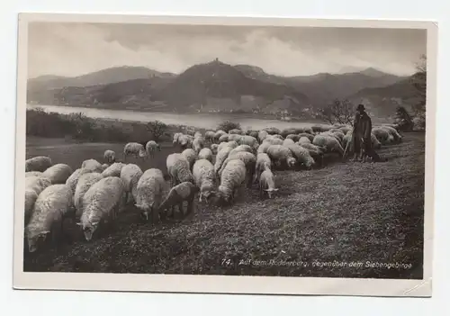 Auf dem Rodderberg, gegenüber dem Siebengebirge