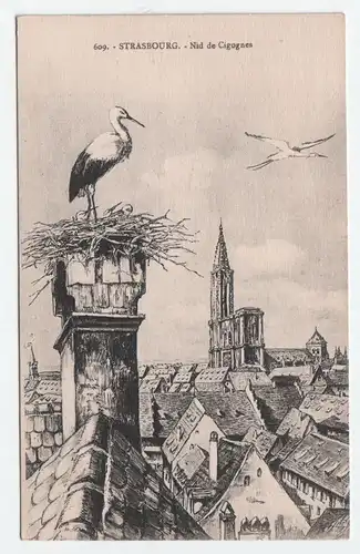 Strasbourg. - Nid de Cigognes