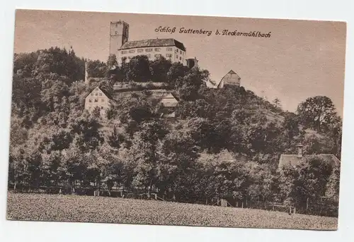Schloß Guttenberg b. Neckarmühlbach