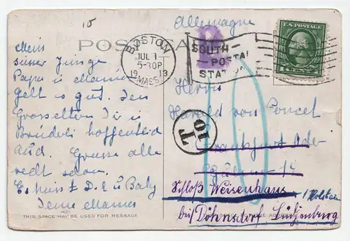 Sheep in Franklin Park, Boston, Mass.