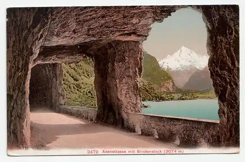 Axenstrasse mit Bristenstock (3074 m)