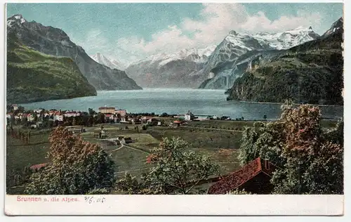 Brunnen u. die Alpen. jahr 1905