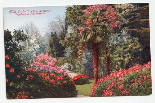 Villa Carlotta (Lago di Como) Vegetazione subtropicale.